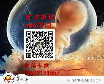 武汉代孕包男孩_广东代怀孕_2020年个人找代孕