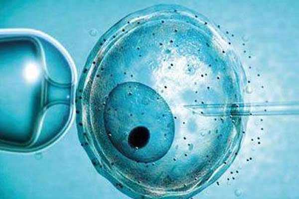 武汉供卵试管成功率_细说下囊胚4CC移植成功率、以及质量如何。