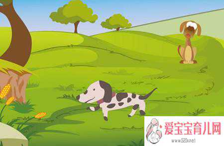 有代孕的男人吗-武汉医院供卵_胎教故事大全每天一个：狗和树